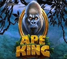 RTG Ape King Slot Review